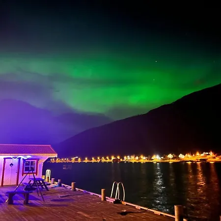 Northern Lights Tiny House Appartement *