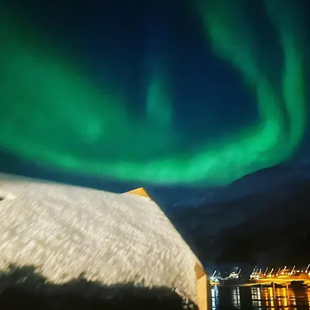 Northern Lights Tiny House