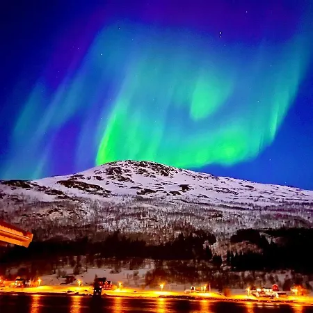 Northern Lights Tiny House Apartment Kvaloya