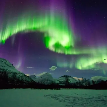 Appartement Northern Lights Tiny House *