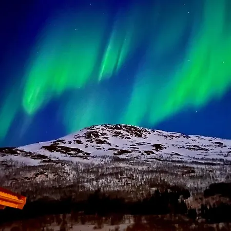 Apartment Northern Lights Tiny House Kvaloya