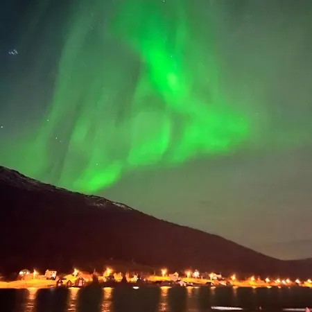 Northern Lights Tiny House Kvaloya