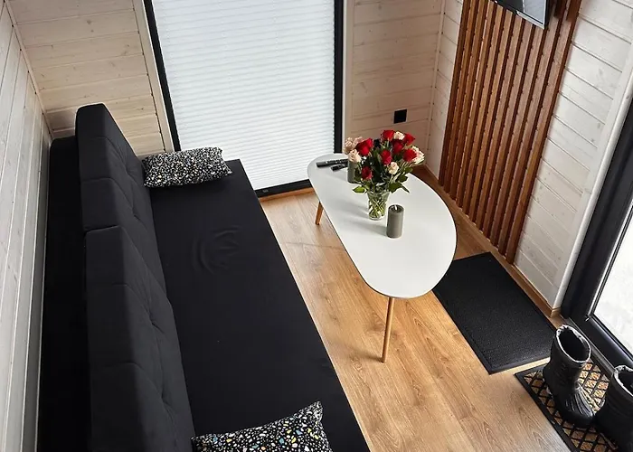 Northern Lights Tiny House