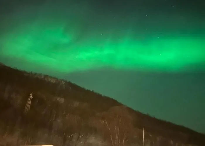 Northern Lights Tiny House *