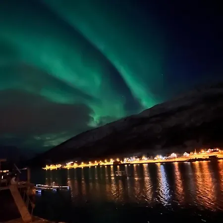 Апартаменты Northern Lights Tiny House Kvaloya