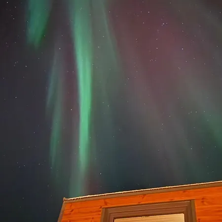 Апартаменты Northern Lights Tiny House